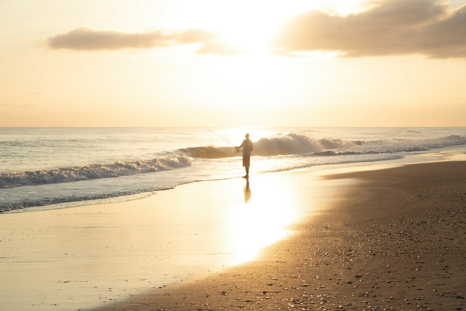 A person walking along the shore at sunset