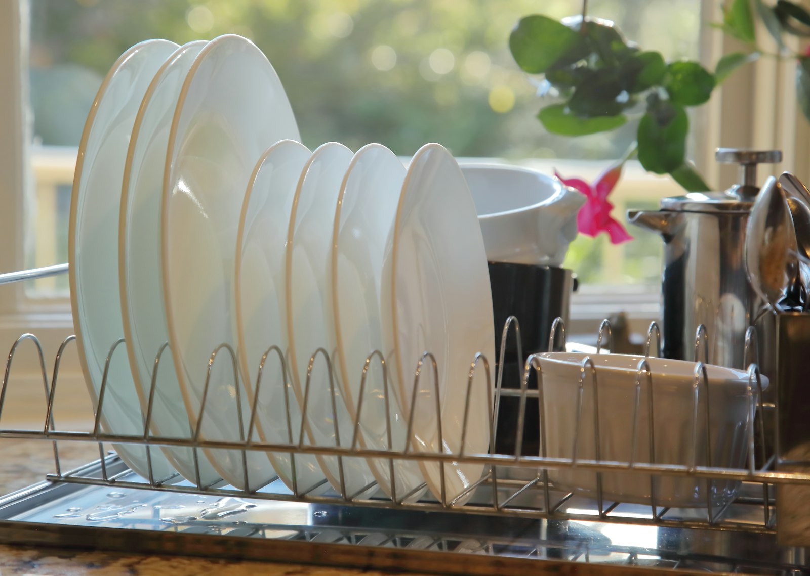 Clean white plates drying in a dish rack