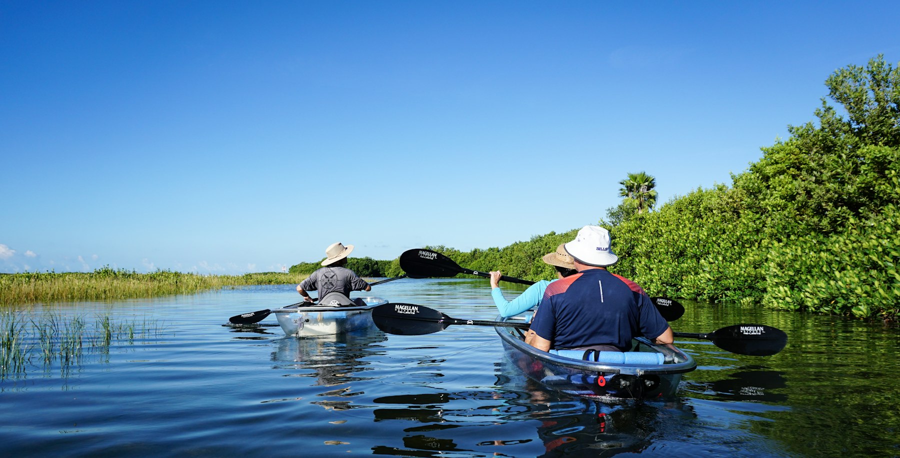 Two kayakers paddling through a mangrove-lined waterway