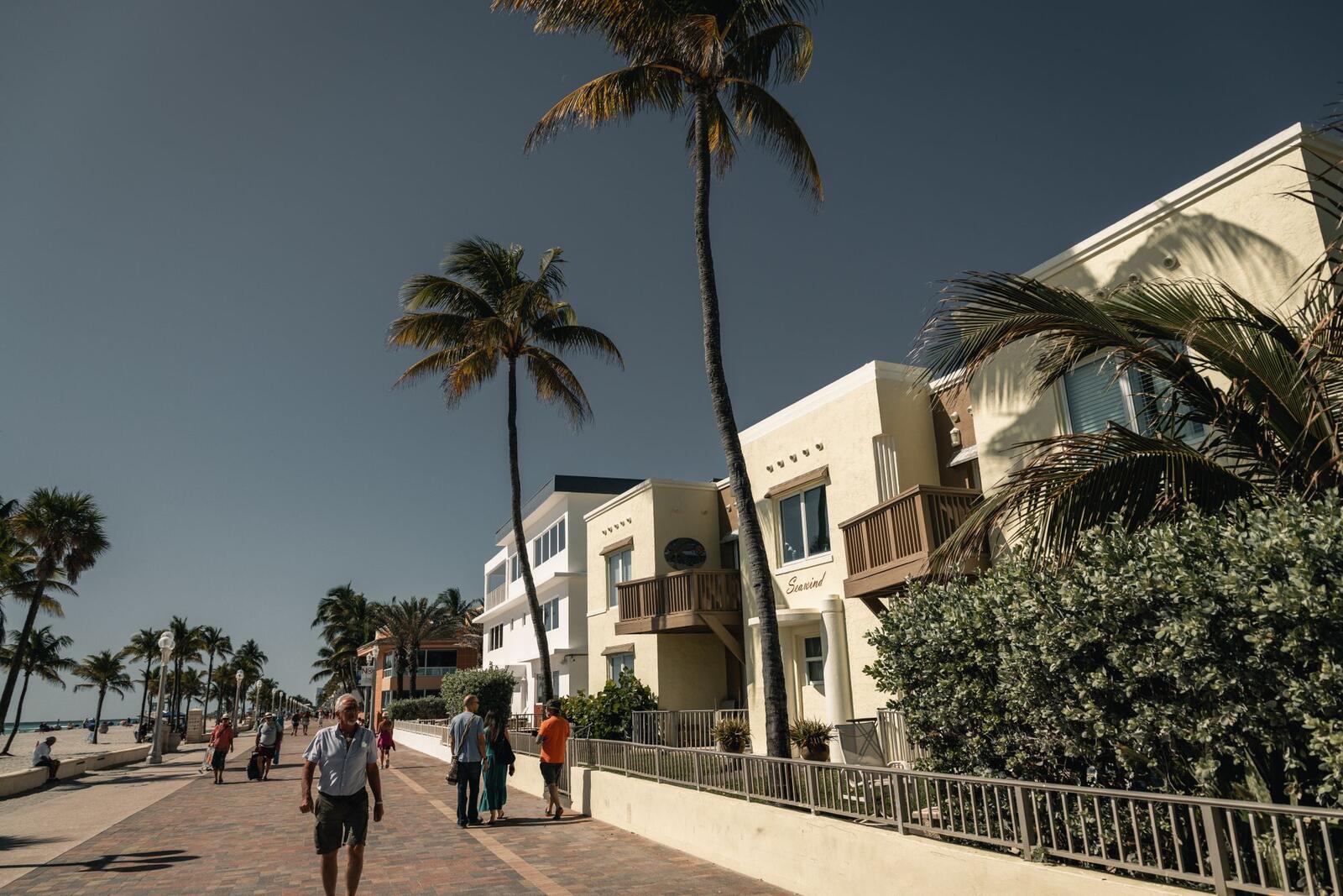 A palm-lined walkway in daylight